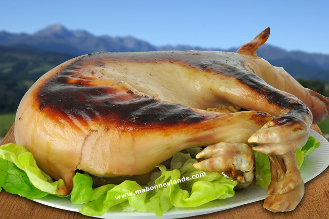 Fiche Cochon de lait et Porcelet - Ma Bonne Viande